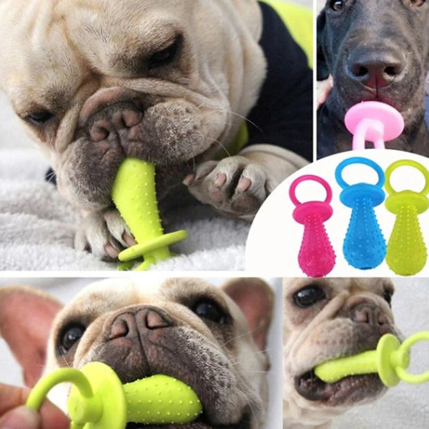 Chew Training Pet Toys
