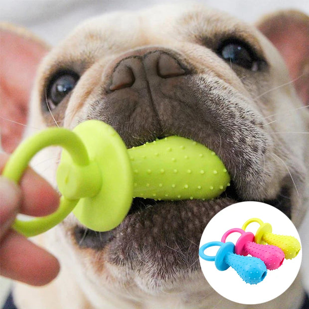 Chew Training Pet Toys