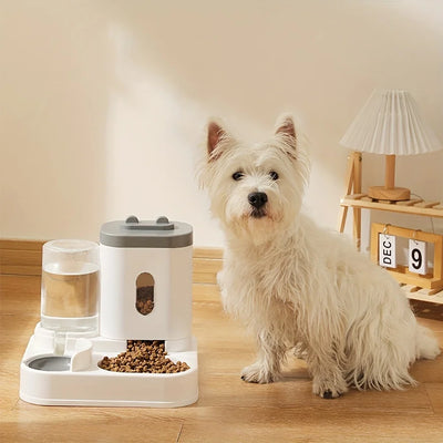 Pet Feeder and Water Dispenser for Cats: Plastic