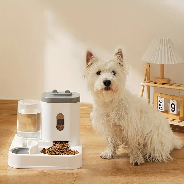 Pet Feeder and Water Dispenser for Cats: Plastic