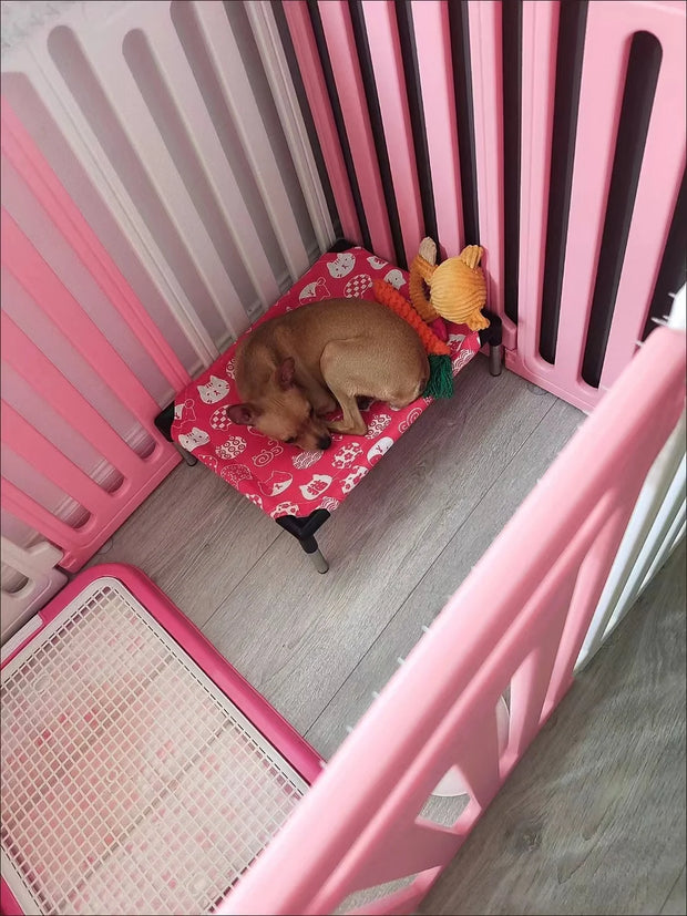 Portable Elevated Dog Bed Outdoor