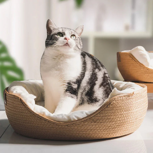 Pet Cat Mat Bed Sofa