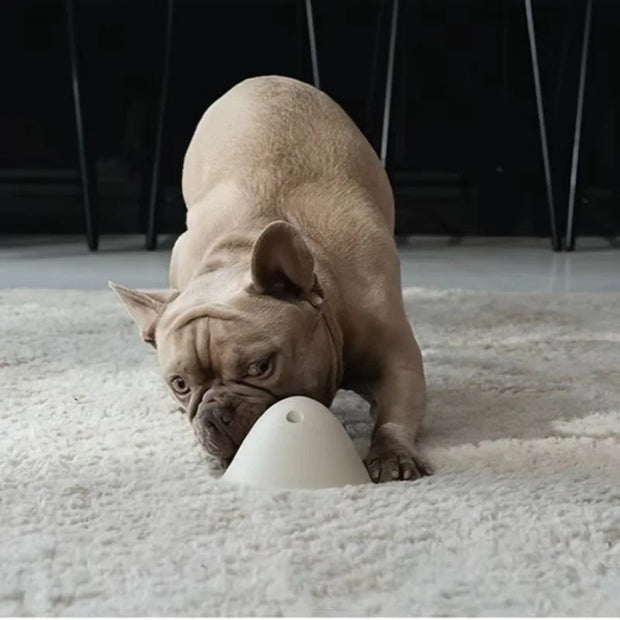 large dogs chewing toys