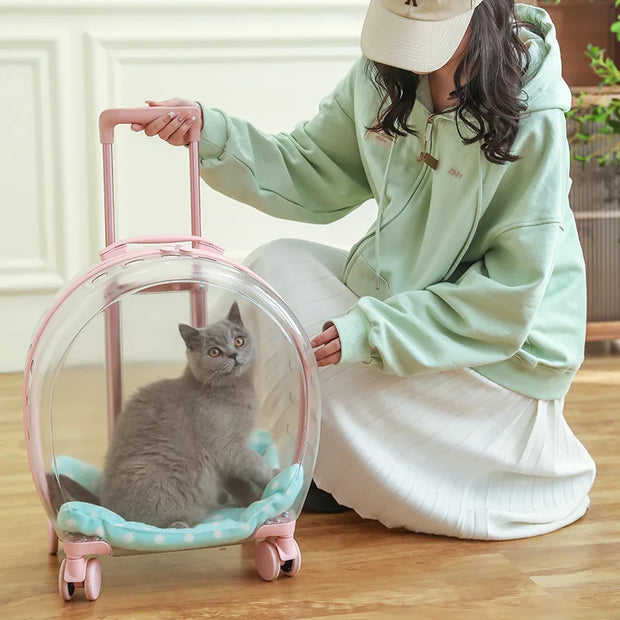 Portable Pet Carrier for Small