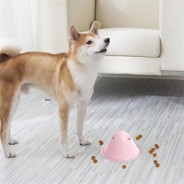large dogs chewing toys