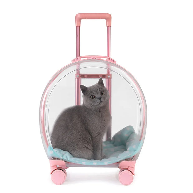 Portable Pet Carrier for Small