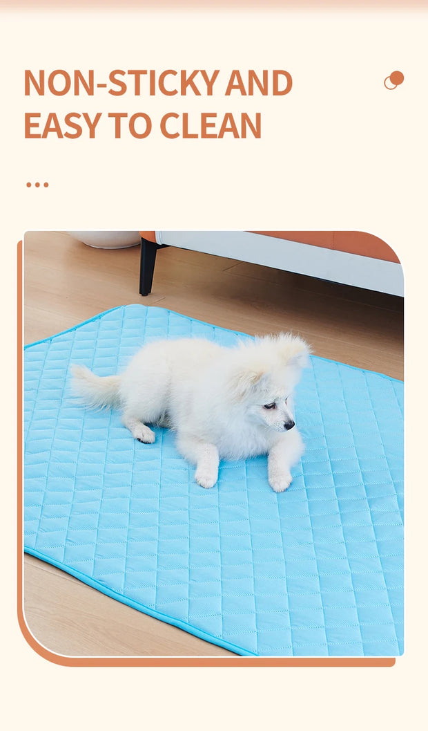 Small Dogs/Cats  Pets Durable Sofa Bes