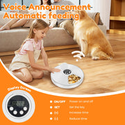 Pet Automatic Timing Feeder