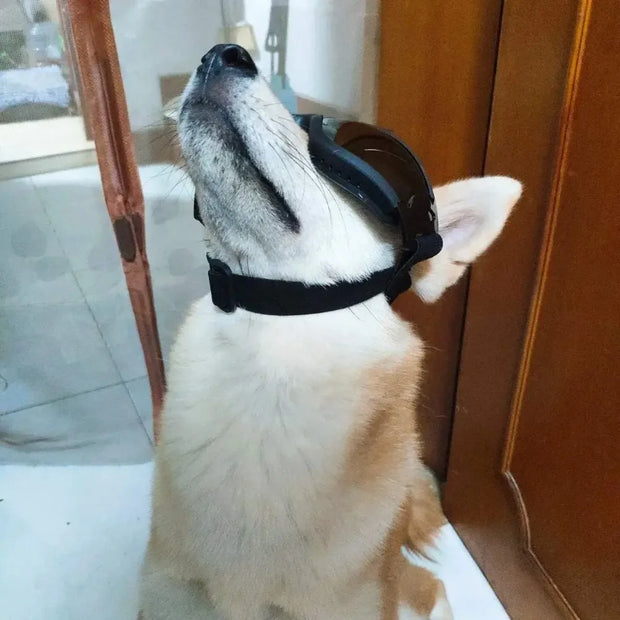 Pet Adjustable Dog Goggles Sunglasses