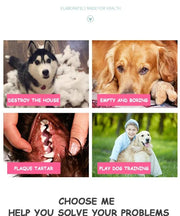 Dogs Teeth Grinding and Bite Resistant Interactive Toys Bone