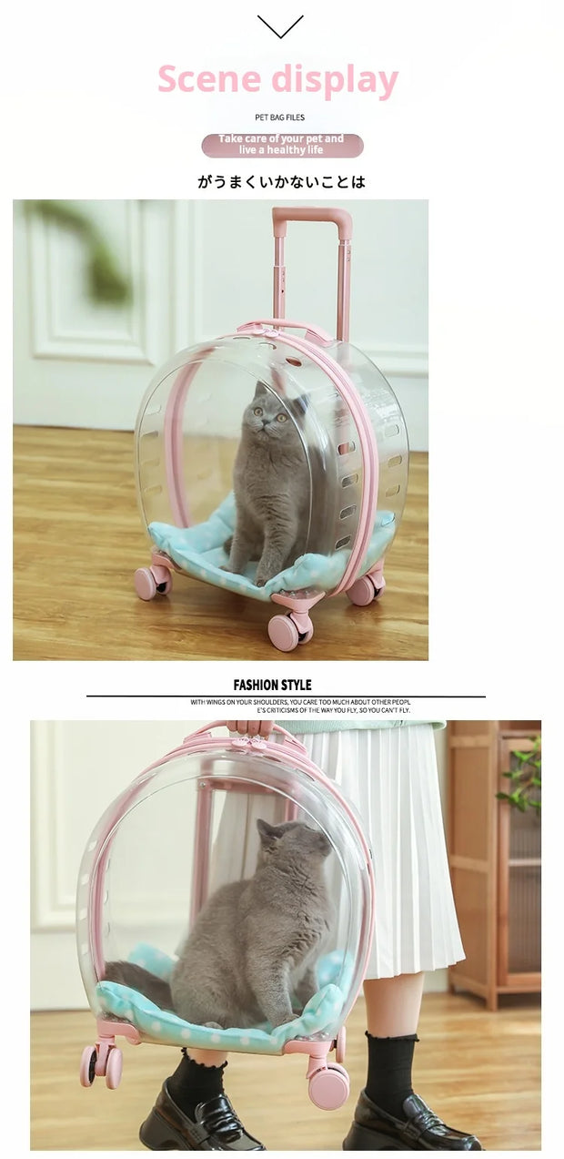 Portable Pet Carrier for Small