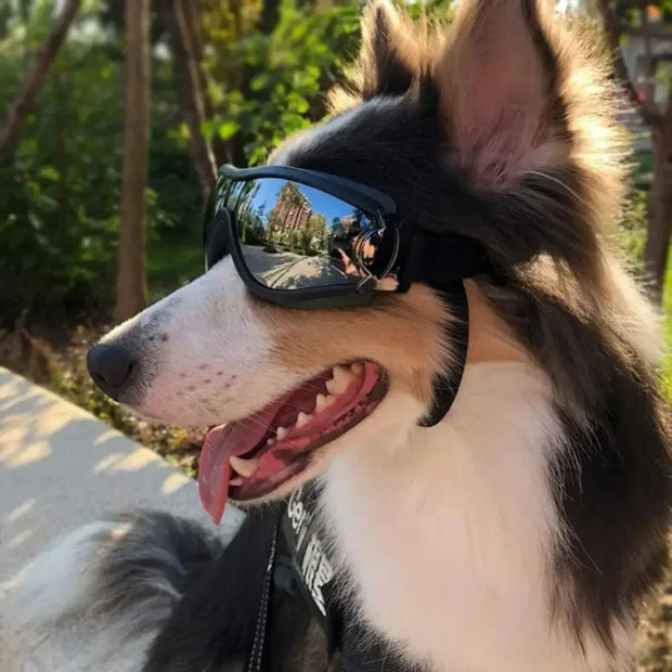 Pet Adjustable Dog Goggles Sunglasses