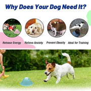 large dogs chewing toys