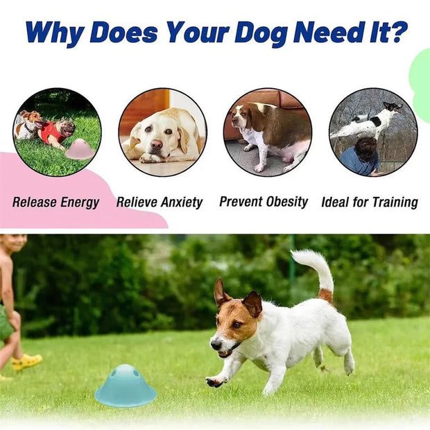 large dogs chewing toys