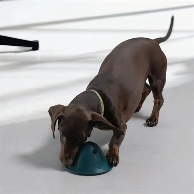 large dogs chewing toys