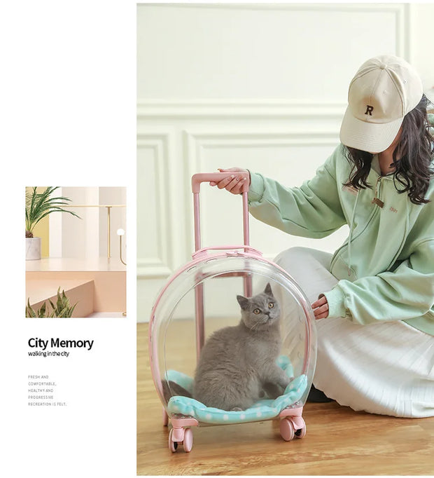 Portable Pet Carrier for Small