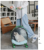 Portable Pet Carrier for Small