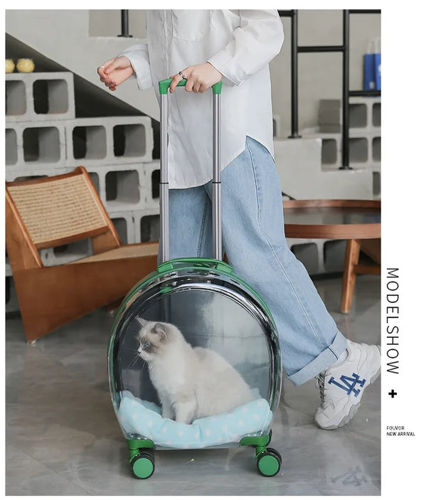 Portable Pet Carrier for Small