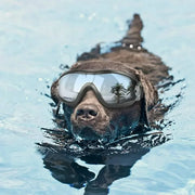 Pet Adjustable Dog Goggles Sunglasses