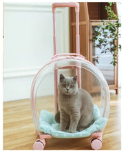 Portable Pet Carrier for Small