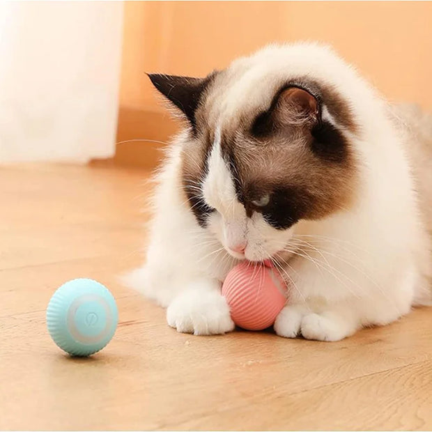 Auto Rolling Ball Puppy Toys