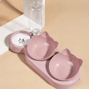 3-1 Pet Bowls With Water Feeder