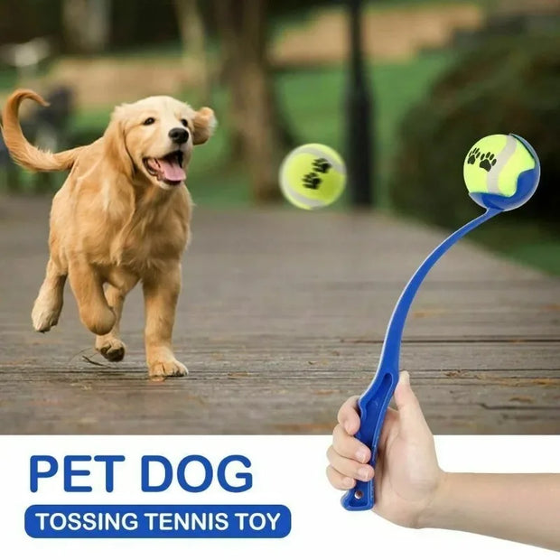 Dogs Training Pet Toys