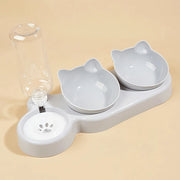 3-1 Pet Bowls With Water Feeder