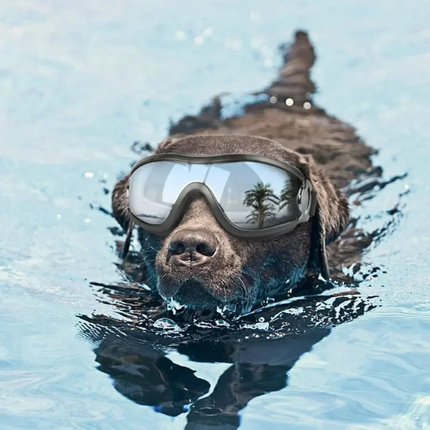 Pet Adjustable Dog Goggles Sunglasses