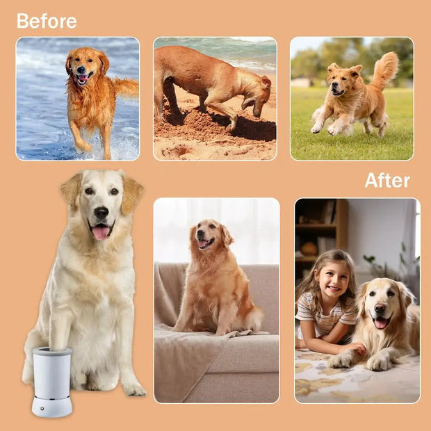 Pet Feet Washer Electrical