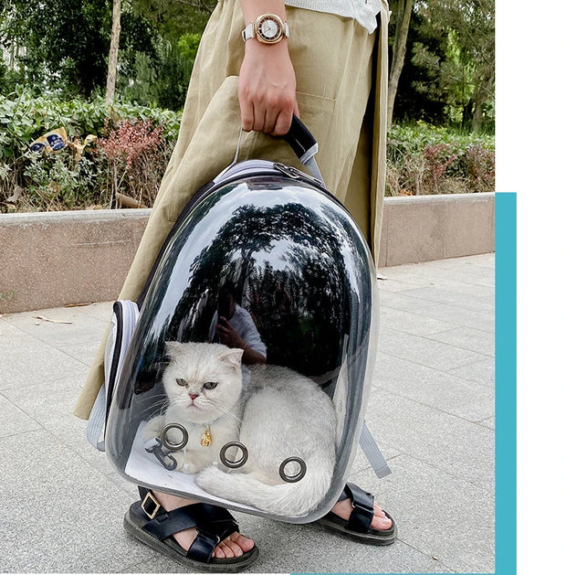 Backpacks Pet Cat Carrier