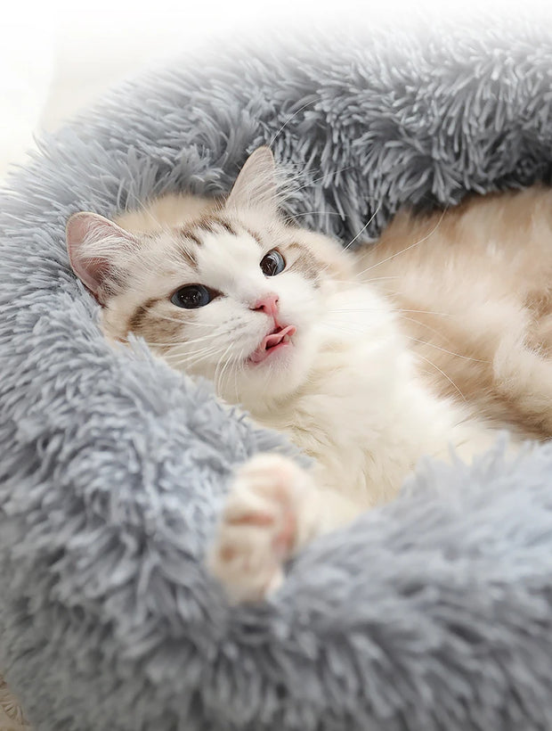 Soft Dog Beds House Soft Long Plush