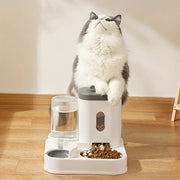 Pet Feeder and Water Dispenser for Cats: Plastic