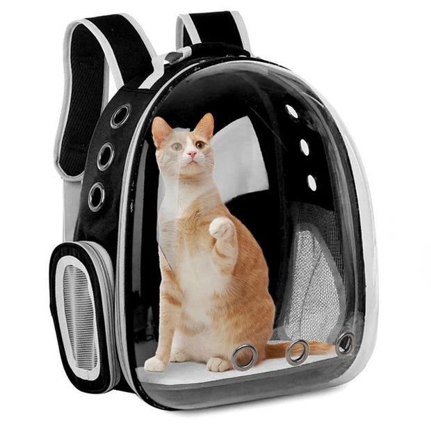 Backpacks Pet Cat Carrier