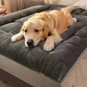 Dog Pet Sofa Beds Extra Large