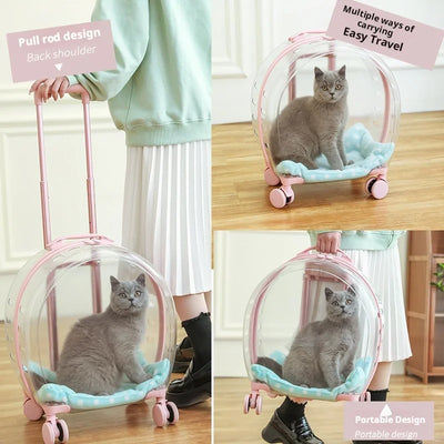 Portable Pet Carrier for Small