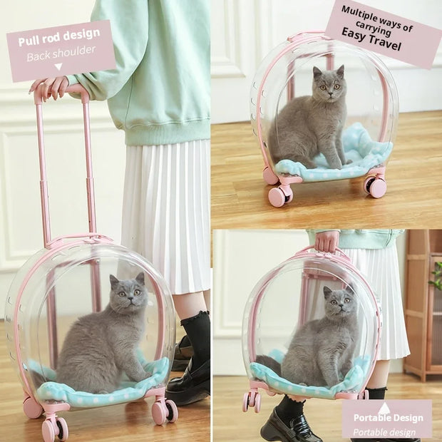 Portable Pet Carrier for Small