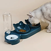 3-1 Pet Bowls With Water Feeder