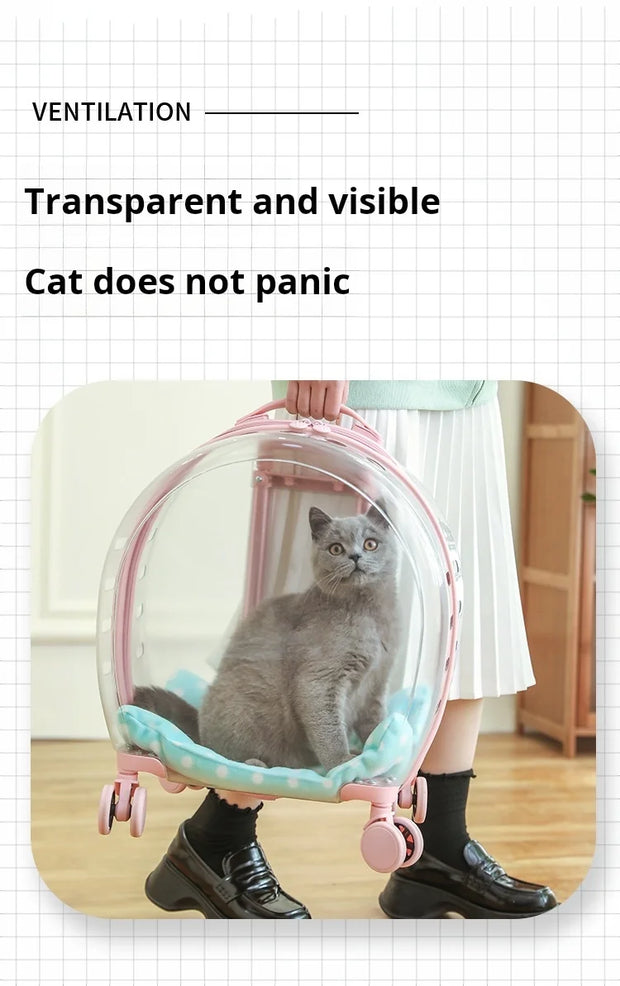 Portable Pet Carrier for Small