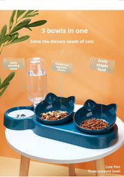 3-1 Pet Bowls With Water Feeder