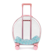 Portable Pet Carrier for Small