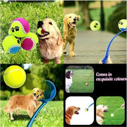 Dogs Training Pet Toys