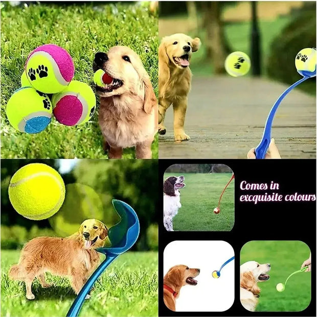 Dogs Training Pet Toys