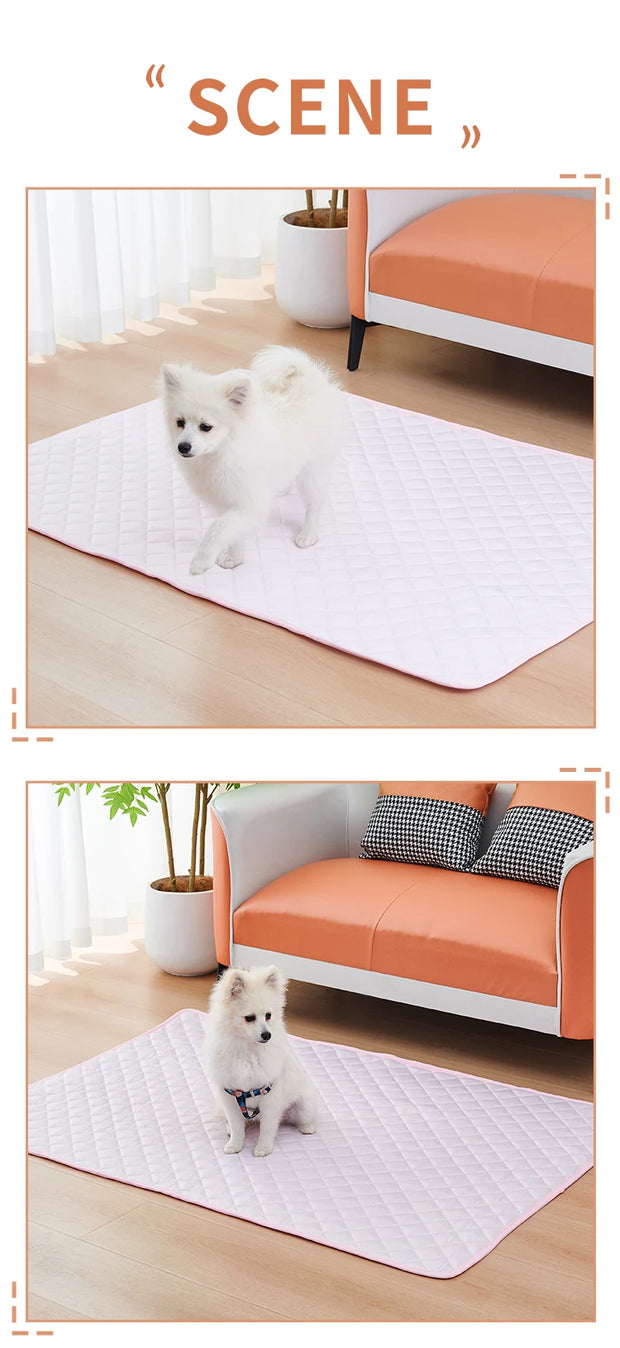 Small Dogs/Cats  Pets Durable Sofa Bes