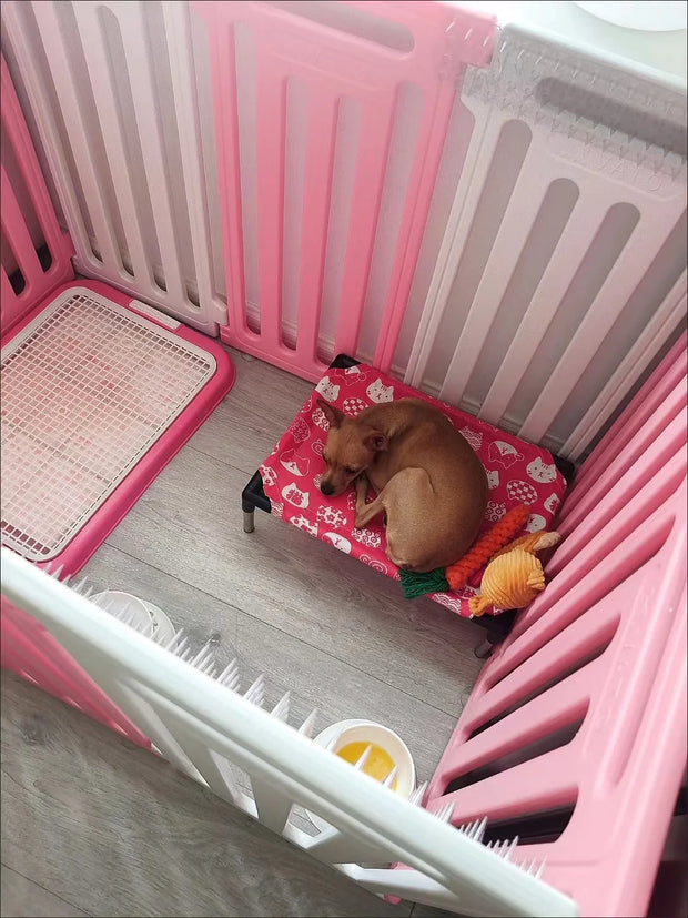 Portable Elevated Dog Bed Outdoor