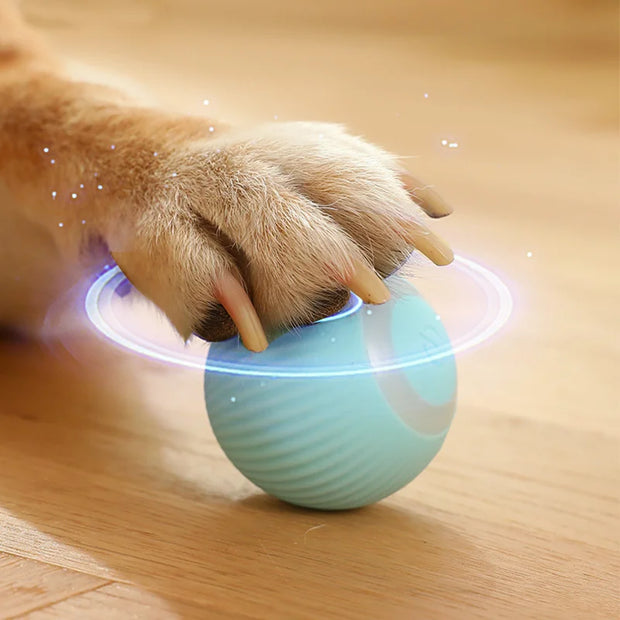 Auto Rolling Ball Puppy Toys
