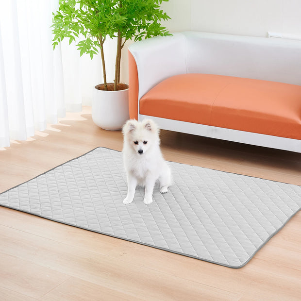 Small Dogs/Cats  Pets Durable Sofa Bes