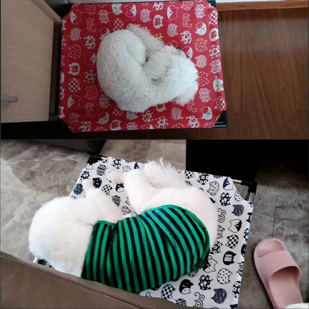 Portable Elevated Dog Bed Outdoor