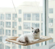 Easy Hanging Pet Bed