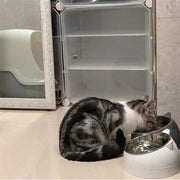Pet Bowls Dog Food Water Feeder